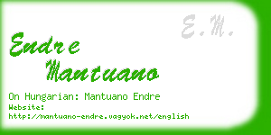 endre mantuano business card